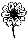 une fleur