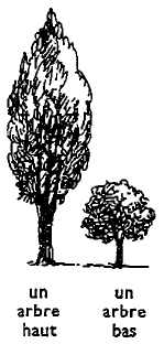 arbre haut et bas